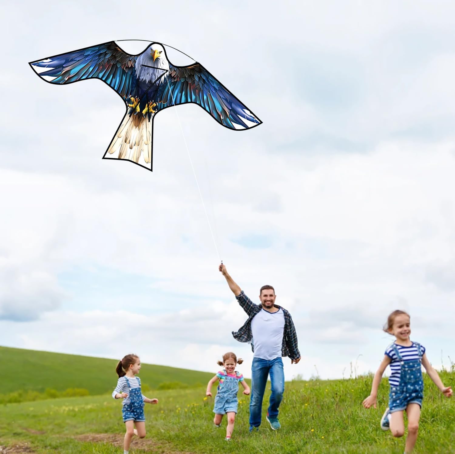 Bird Hawk Flying Kite,for Kids and Adults,for Crops Farm Protector Bird Scarer,Excellent Fabric and Structure Design, The Pictures are Beautiful,Suitable for Beginners