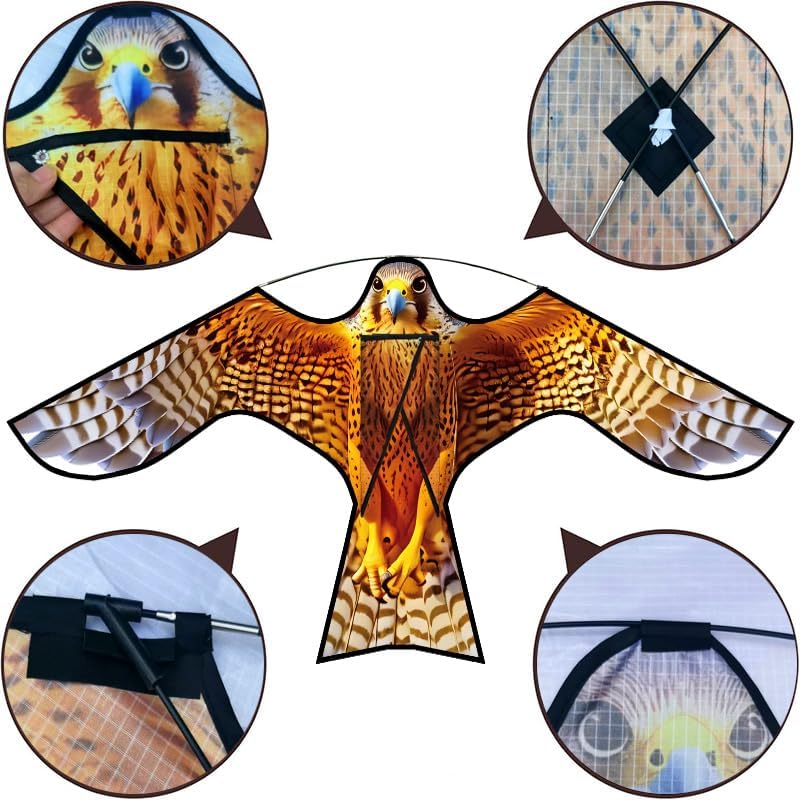 Bird Hawk Flying Kite,for Kids and Adults,for Crops Farm Protector Bird Scarer,Excellent Fabric and Structure Design, The Pictures are Beautiful,Suitable for Beginners