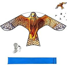 Bird Hawk Flying Kite,for Kids and Adults,for Crops Farm Protector Bird Scarer,Excellent Fabric and Structure Design, The Pictures are Beautiful,Suitable for Beginners