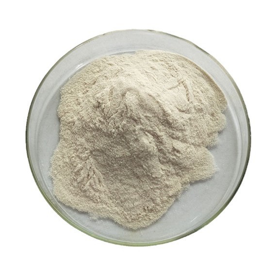 98% Sodium chloroacetate with CAS 3926-62-3