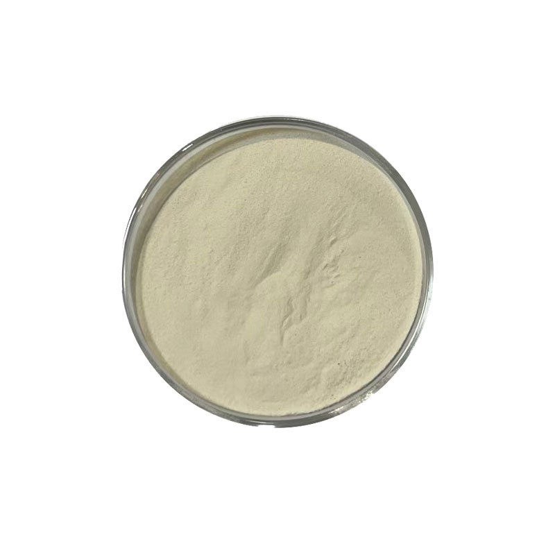 98% Sodium chloroacetate with CAS 3926-62-3