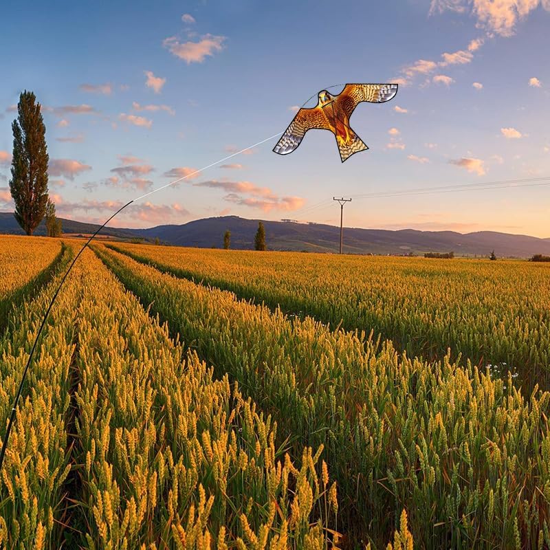 Bird Hawk Flying Kite,for Kids and Adults,for Crops Farm Protector Bird Scarer,Excellent Fabric and Structure Design, The Pictures are Beautiful,Suitable for Beginners