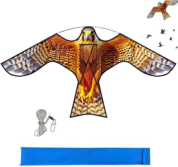 Bird Hawk Flying Kite,for Kids and Adults,for Crops Farm Protector Bird Scarer,Excellent Fabric and Structure Design, The Pictures are Beautiful,Suitable for Beginners